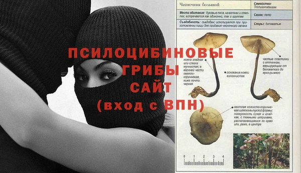 гидра Баксан
