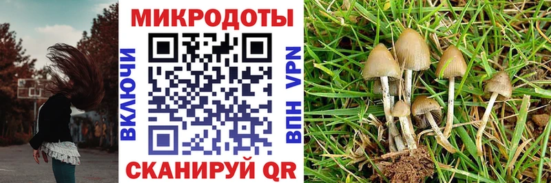 Галлюциногенные грибы Magic Shrooms  MEGA зеркало  Северобайкальск 