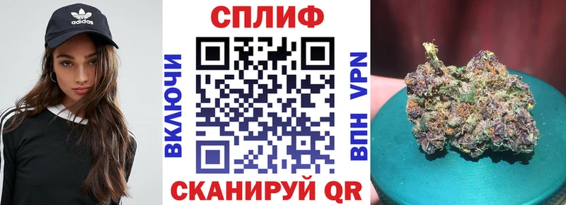 Канабис MAZAR  где купить наркотик  Северобайкальск 